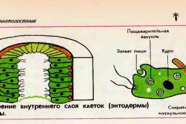 Актуальная ссылка на кракен