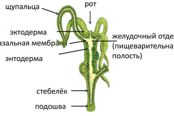 Дарк нет кракен