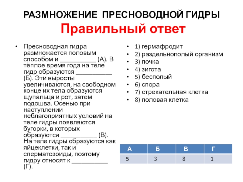 Kraken 13at сайт